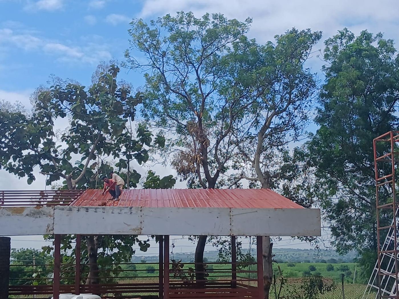 Steel pergola and roof shed